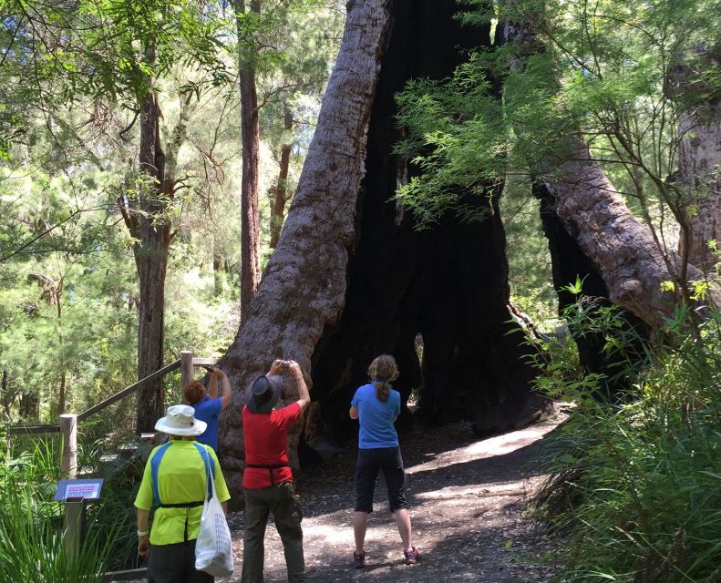 From Perth: Albany, Tree Top Walk & Wave Rock 3-Day Tour - Day 3 - Hyden to Perth