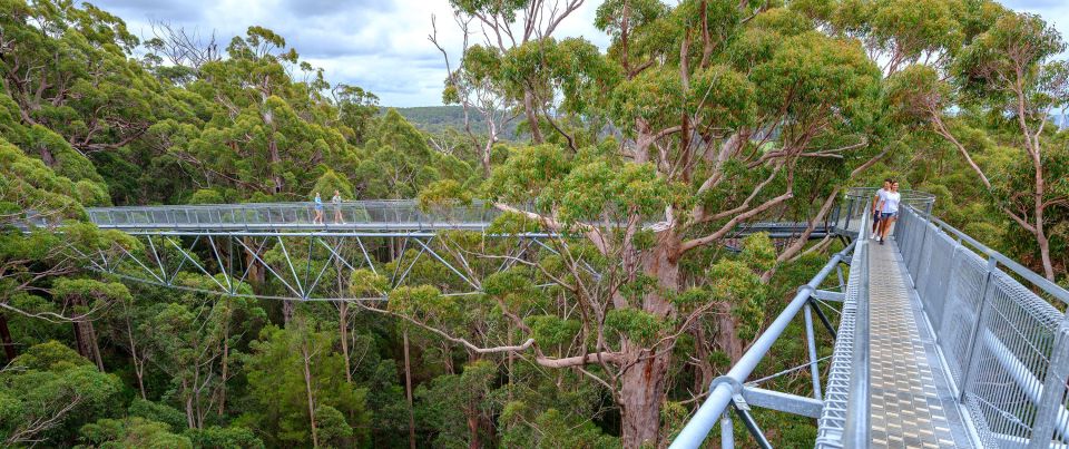 From Perth: Albany, Tree Top Walk & Wave Rock 3-Day Tour - Highlights of the Tour