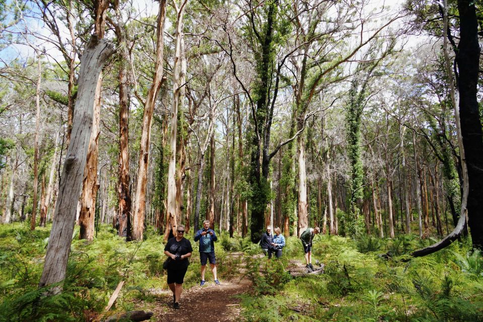 From Perth: Margaret River & Busselton Day Tour - Recap