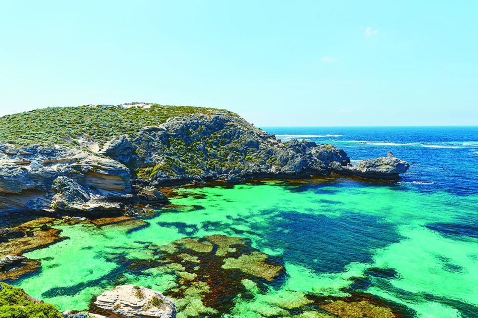 From Perth or Fremantle: Rottnest Explorer Segway Tour - Inclusions