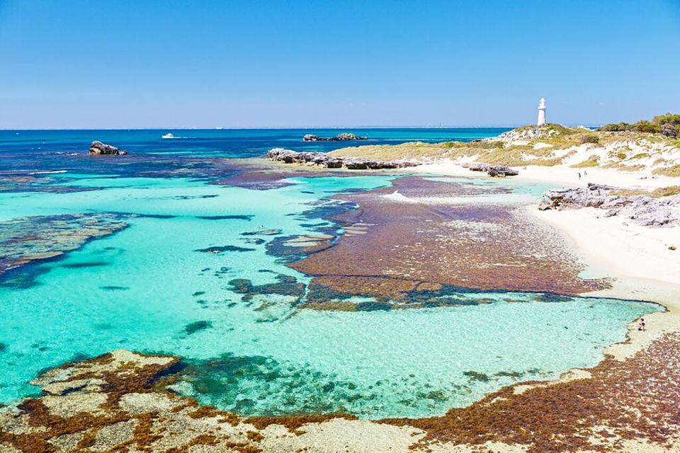 From Perth or Fremantle: Rottnest Explorer Segway Tour - Important Information