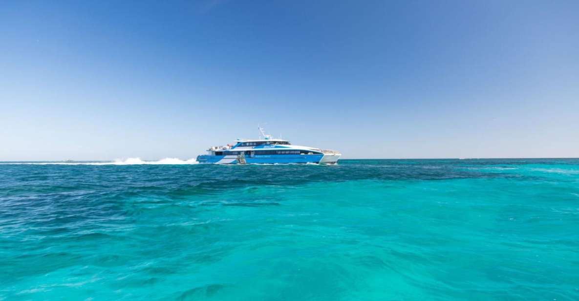 From Perth or Fremantle: Rottnest Island Seafood Cruise - Inclusions