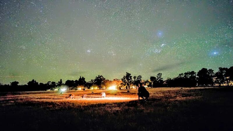 From Perth: Perth Wildlife Tour Under the Stars with Dinner - Who Will Love This Tour?