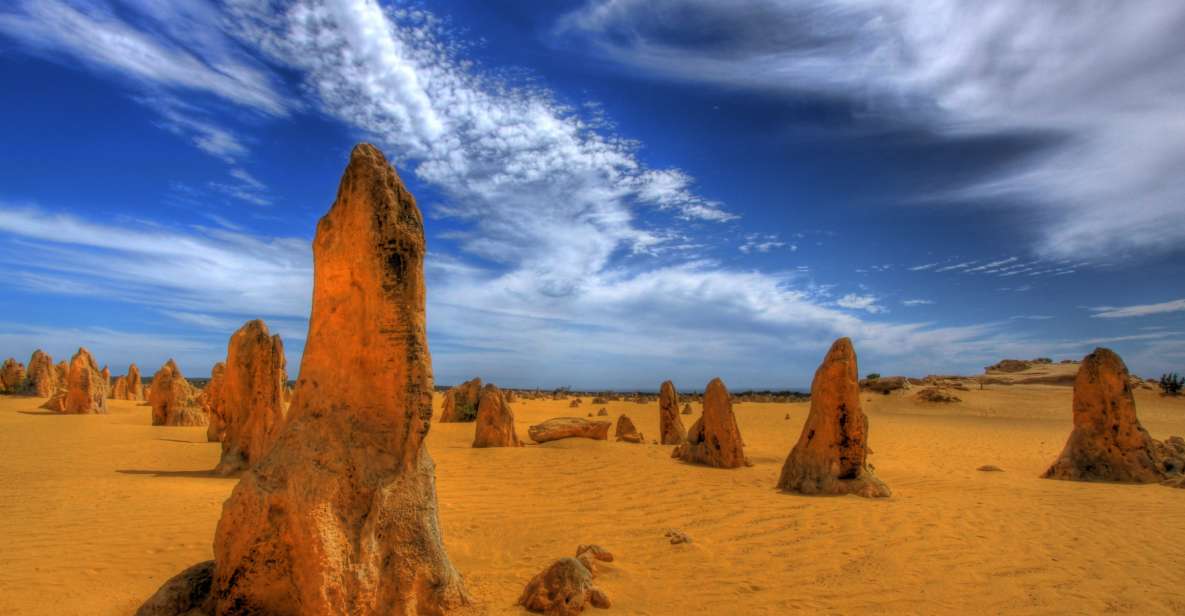 From Perth: Pinnacle Desert, Yanchep, & Swan Valley Day Tour - Itinerary Highlights
