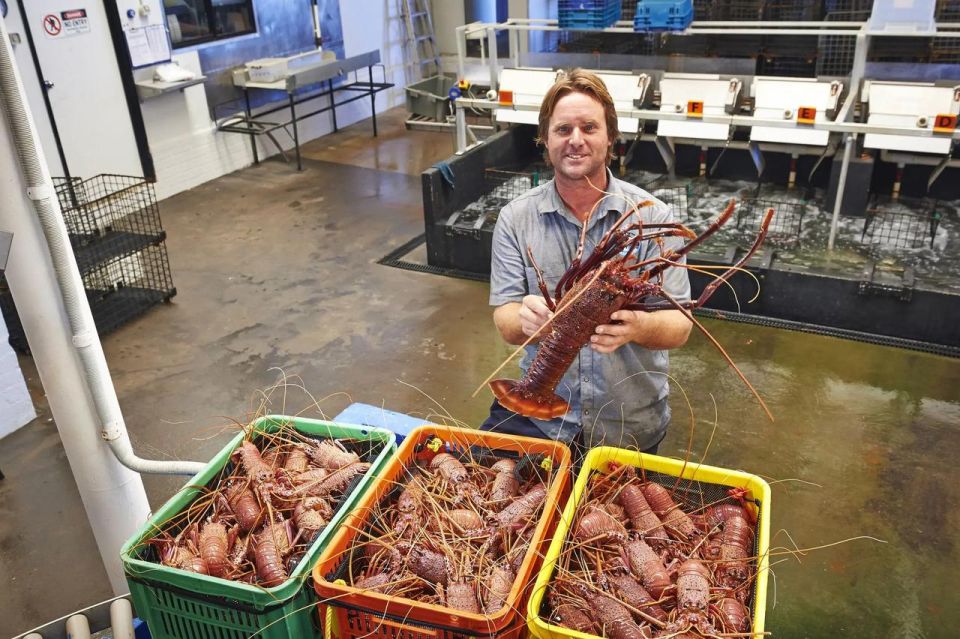 From Perth: Pinnacles, Lavender Farm and Lobster Shack Tour - Customer Reviews