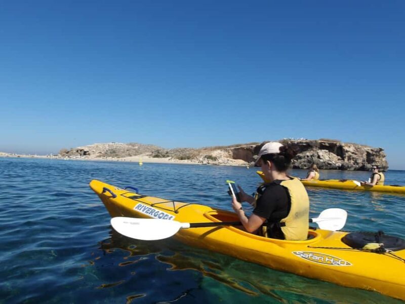 From Perth: Rockingham Seal & Penguin Islands Sea Kayak Tour - The Itinerary: What You Can Expect