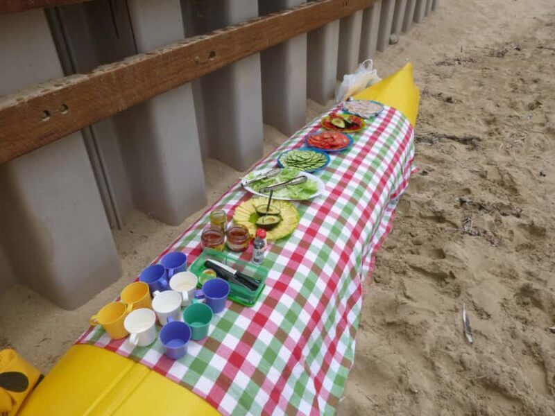 From Perth: Rockingham Seal & Penguin Islands Sea Kayak Tour - The Pros and Cons