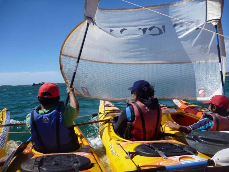 From Perth: Rockingham Seal & Penguin Islands Sea Kayak Tour - Final Thoughts: Is This Tour Worth It?