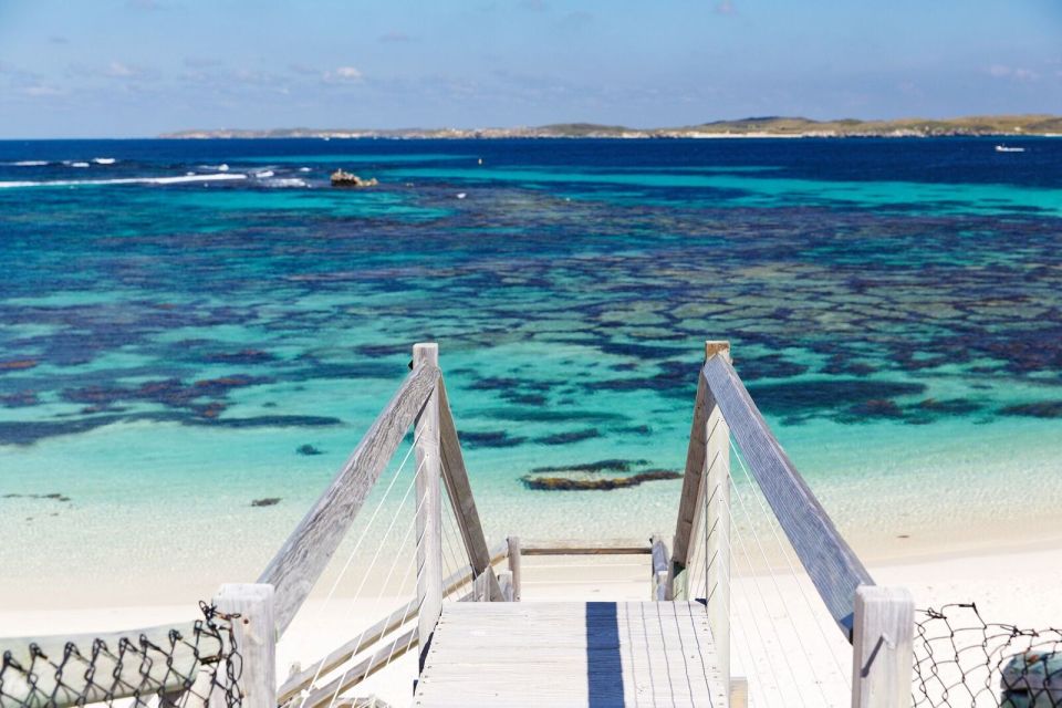 From Perth: Rottnest Island Ferry & Admission - Highlights