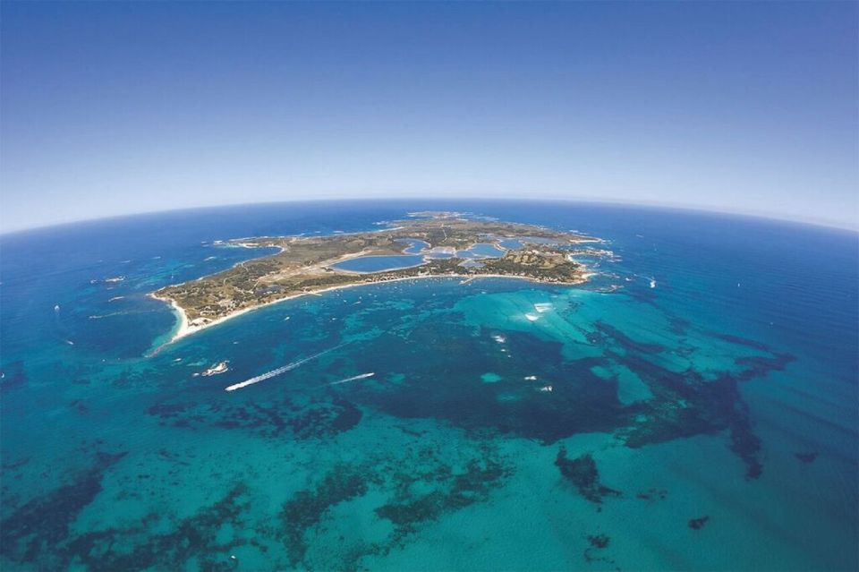 From Perth: Rottnest Island Ferry & Admission - Review Examples