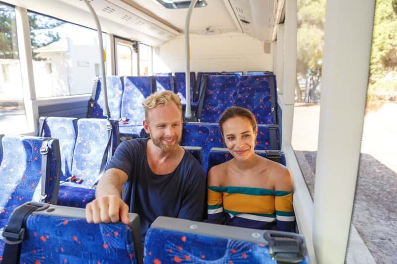 From Perth: Rottnest Island Ferry & Bus Day Tour - What Makes This Tour Stand Out?