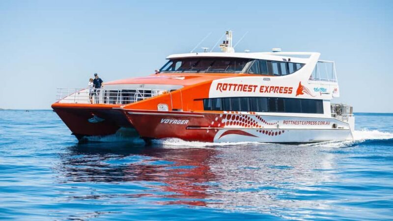 From Perth: Rottnest Island Ferry & Bus Day Tour - Who Should Consider This Tour?