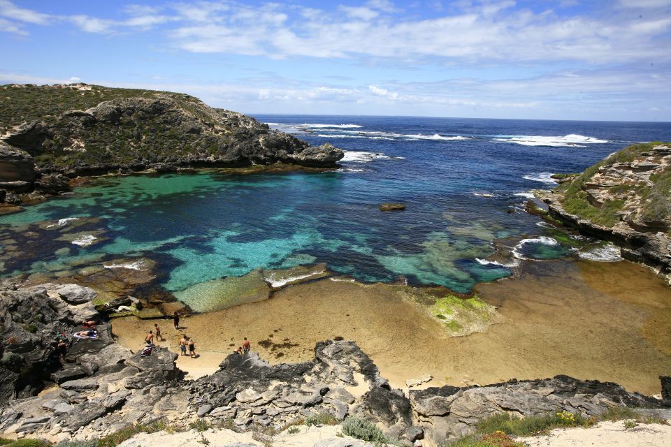 From Perth: Rottnest Island Ferry & Bus Tour - Customer Reviews