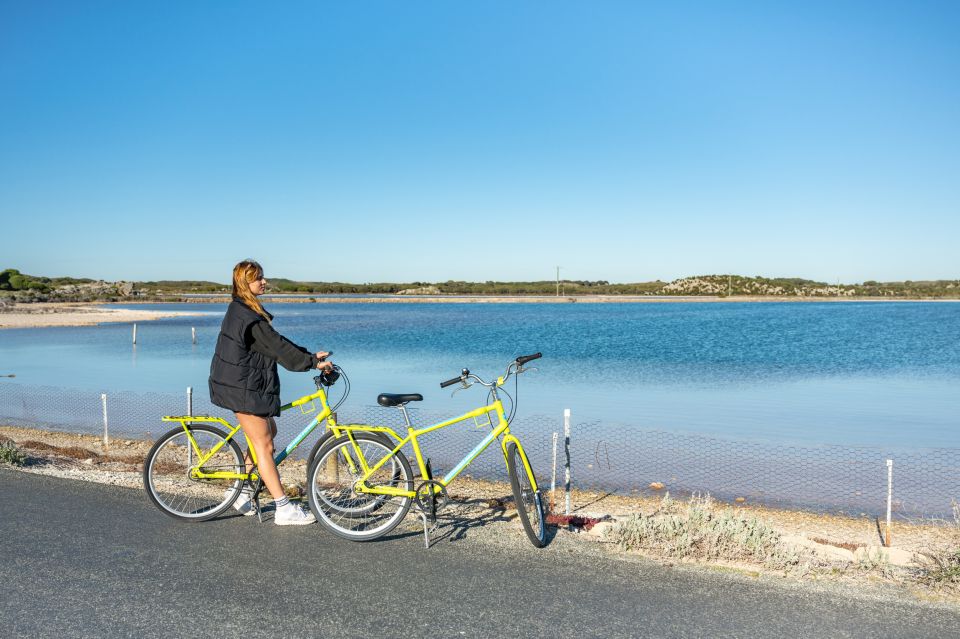 From Perth: Rottnest Island Full-Day Bike and Ferry Trip - Activity Details