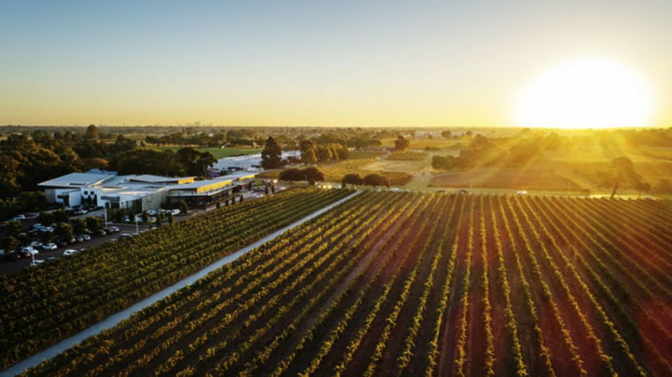 From Perth: Swan Valley Cruise, Winery, Cheese & Lunch - Frequently Asked Questions
