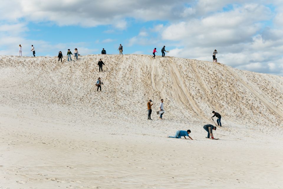 From Perth: The Pinnacles Desert Sunset and Star-Gazing Tour - Reviews and Traveler Feedback