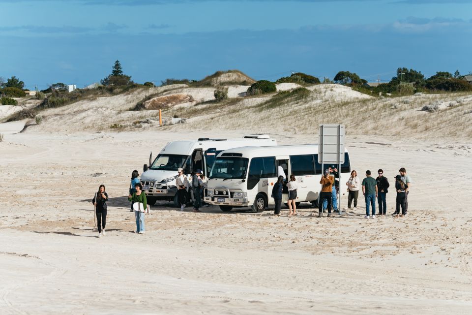 From Perth: The Pinnacles Desert Sunset and Star-Gazing Tour - Recap