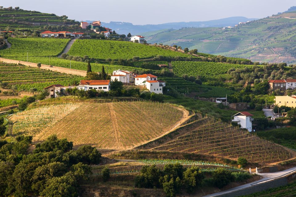 From Peso Da Regua: Douro Valley Tour - Inclusions and Exclusions