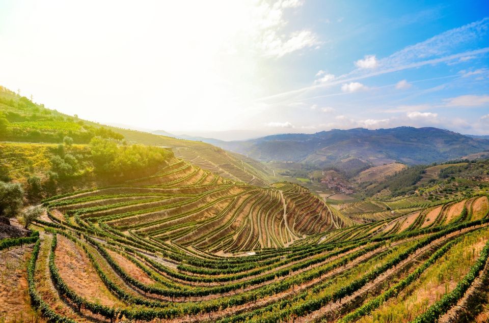 From Peso Da Regua: Douro Valley Tour - Important Information for Guests