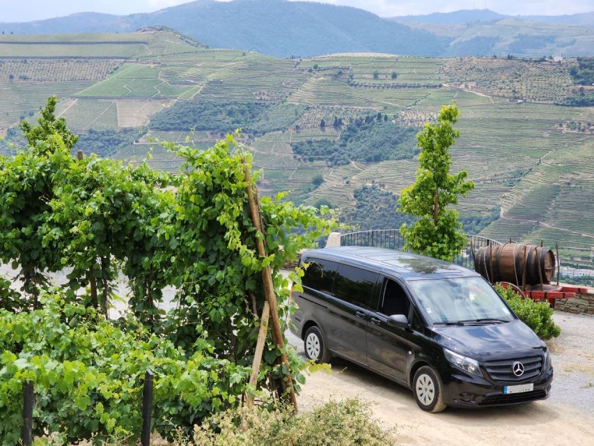 From Peso Da Régua: Visit 3 Wineries, Tasting and Viewpoint - Pickup and Drop-off Details