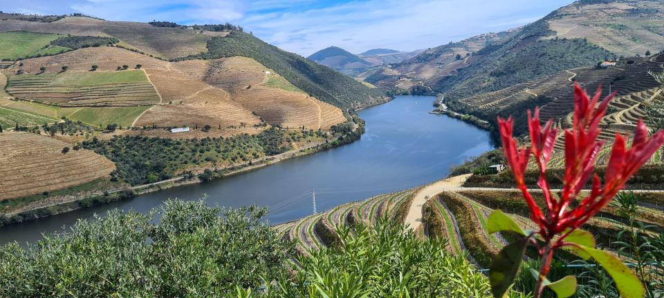 From Peso Da Régua: Visit 3 Wineries, Tasting and Viewpoint - 3 Wine Tastings