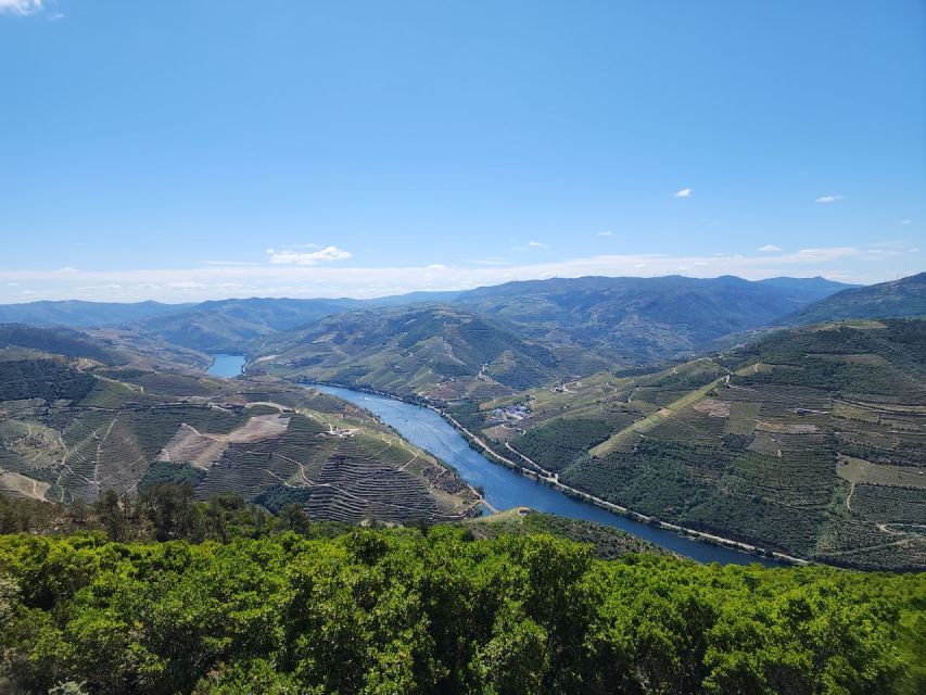 From Peso Da Régua: Visit 3 Wineries, Tasting and Viewpoint - Highlights of the Tour