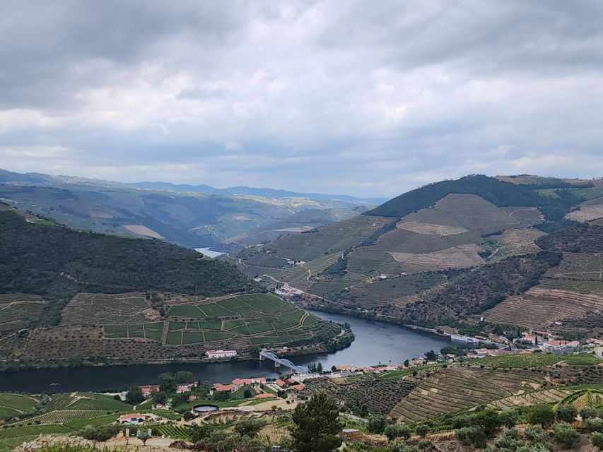From Peso Da Régua: Visit 3 Wineries, Tasting and Viewpoint - Inclusions
