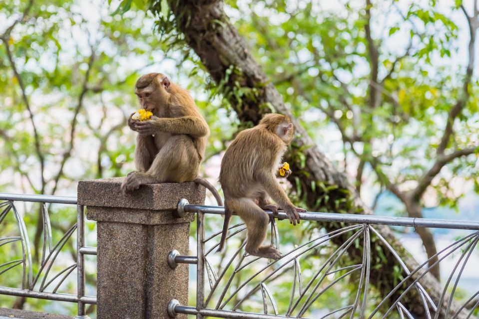 From Phi Phi: Day Tour Phuket With Transfers & Private Car - Key Points