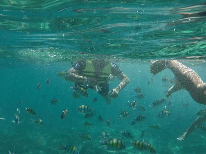 From Phi Phi Island: Exclusive Long Tail Experience - Exploring the Phi Phi Coastline