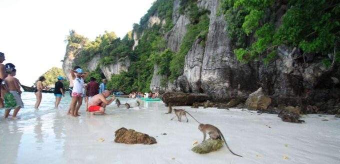 From Phi Phi Island :Half-day Tour by Longtail Boat - Viking Cave