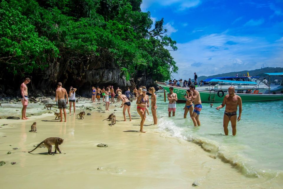From Phi Phi: Maya Bay Longtail Boat Tour With Snorkeling - Inclusions