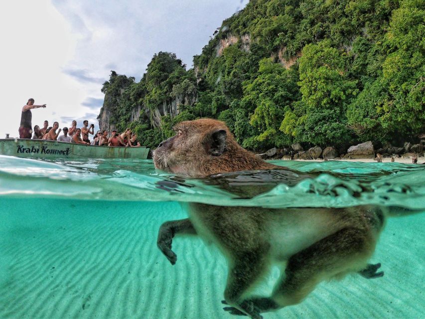 From Phi Phi : Maya Bay Sunset Cruise and Plankton Swimming - Departure and Return