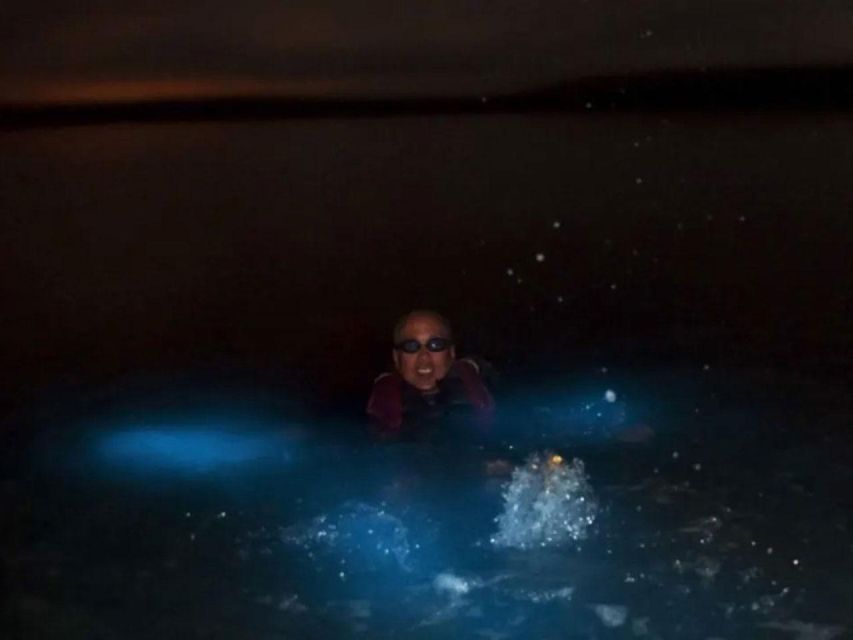 From Phi Phi: Sunset & Bioluminescent Plankton Snorkel Tour - Highlights
