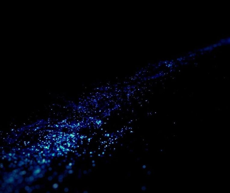 From Phi Phi: Sunset & Bioluminescent Plankton Snorkel Tour - Booking Options