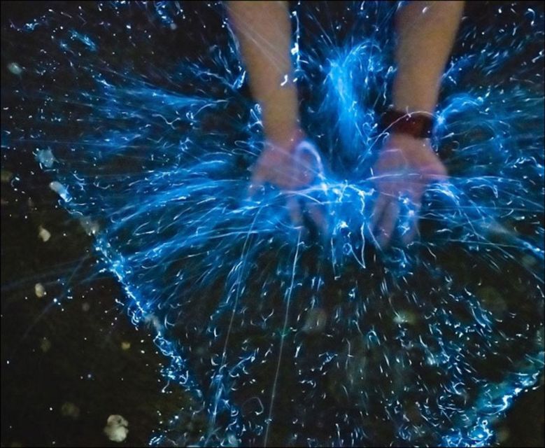 From Phi Phi: Sunset & Bioluminescent Plankton Snorkel Tour - Frequently Asked Questions