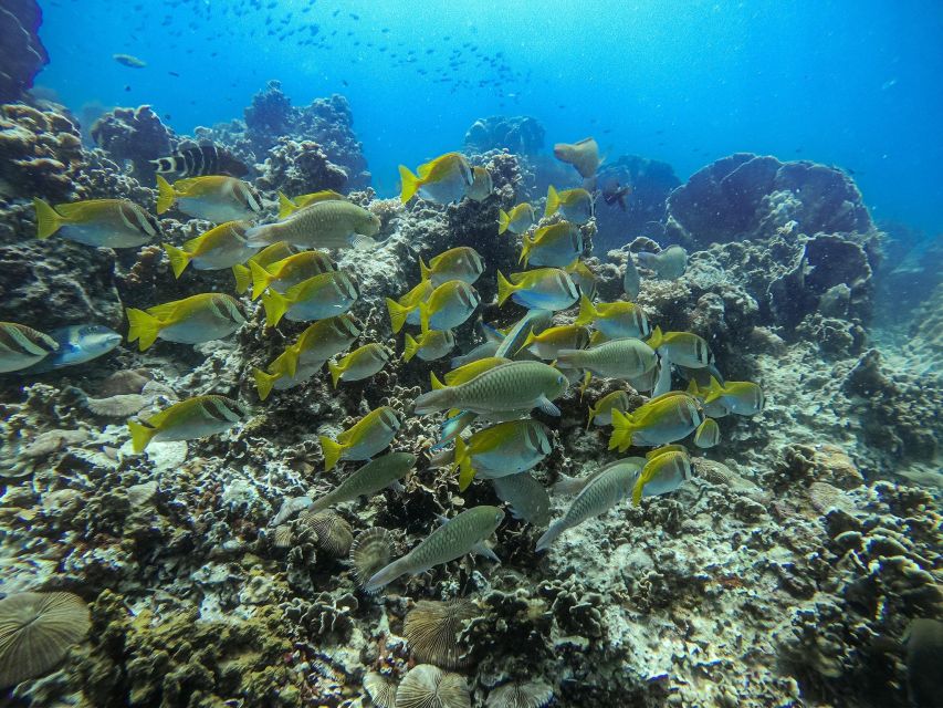 From Phi Phi: Sunset & Plankton Swim Tour By Speedboat - Return to Starting Point