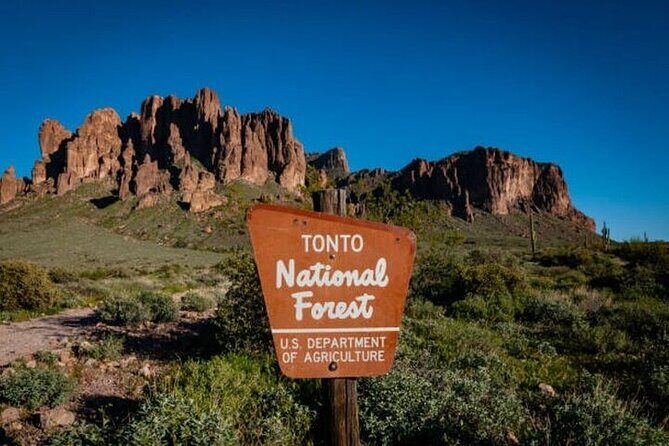 From Phoenix: Offroad Sonoran Desert and Sunset Shared Tour - Exploring the Offroad Sonoran Desert and Sunset Tour: An Authentic Arizona Adventure