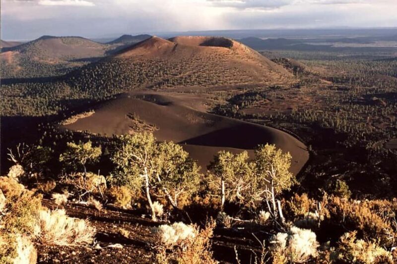 From Phoenix: Private Custom Flagstaff Day Tour - Key Points