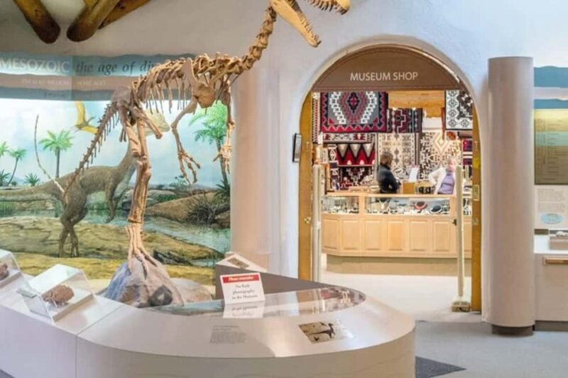 From Phoenix: Private Custom Flagstaff Day Tour - Analyzing the Value