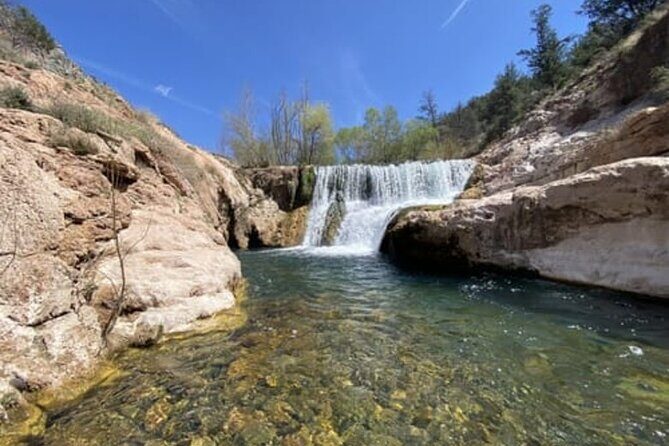 From Phoenix Private Offroad Sonoran Desert and Sunset Tour - Who Is This Tour Best For?