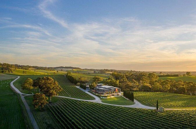 From Phoenix Private Vortex to Vineyard Tour - The Vineyards and Wineries