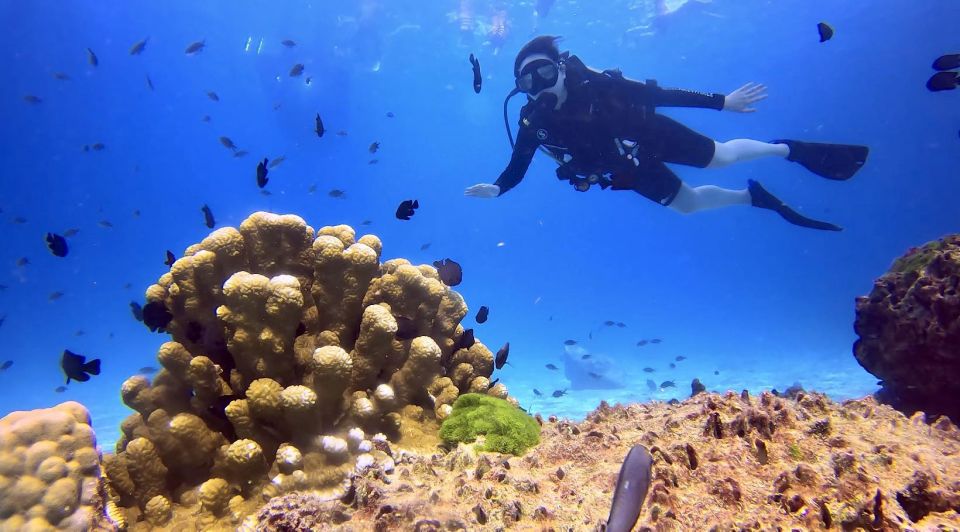 From Phuket: 3-Day SSI/PADI Open Water Diver Certification - Key Points