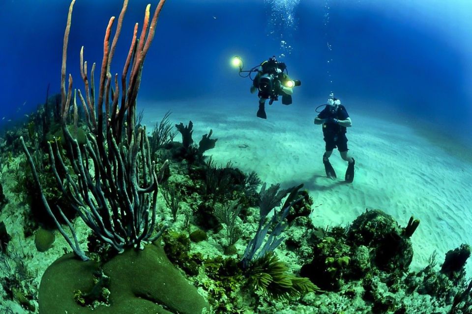 From Phuket: 3-Day SSI/PADI Open Water Diver Certification - Day 3: Open Water Dives at Racha Noi Island