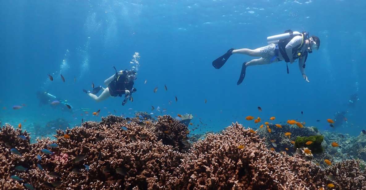 From Phuket: 3-Day SSI/PADI Open Water Diver Certification - Age Requirements