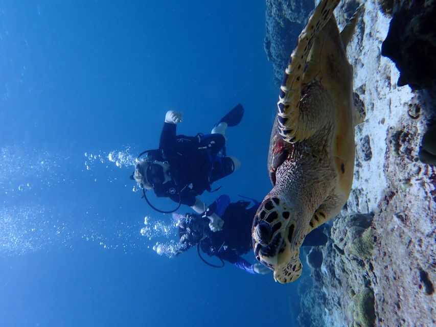 From Phuket: 3-Day SSI/PADI Open Water Diver Certification - Payment Options