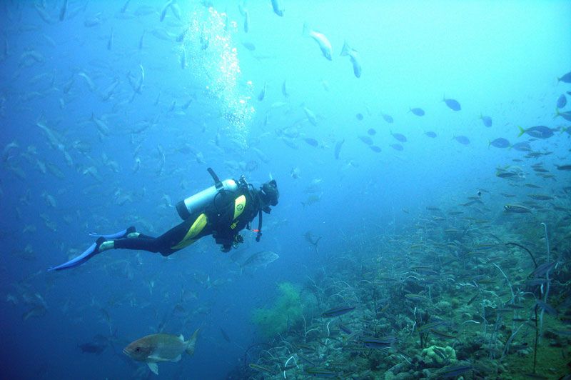 From Phuket: Advanced Open Water Diving Course - Underwater Navigation