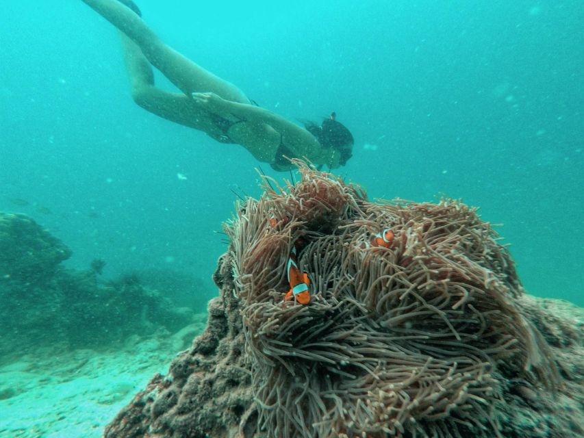 From Phuket: Coral Island Private Longtail Boat Tour - Tour Suitability and Restrictions