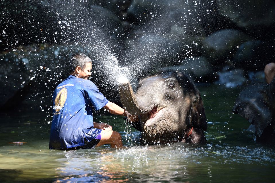From Phuket: Elephant Care Experience With Rafting & Zipline - Elephant Mud Spa and Bathing