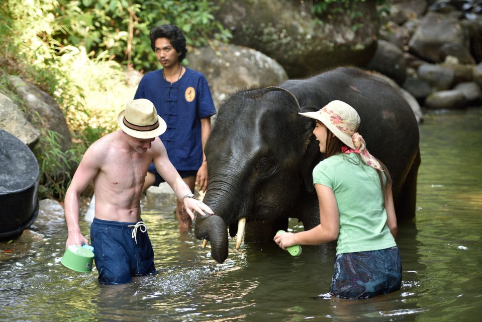 From Phuket: Elephant Care Experience With Rafting & Zipline - White Water Rafting Journey