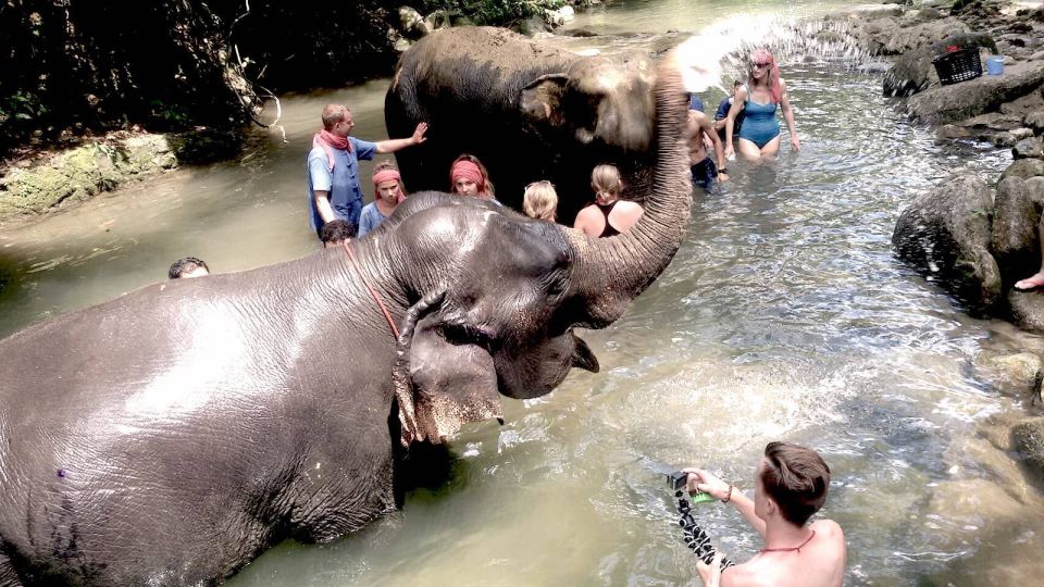 From Phuket: Elephant Care Experience With Rafting & Zipline - Frequently Asked Questions